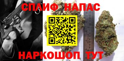сатива Бийск