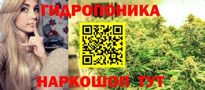 сатива Бийск
