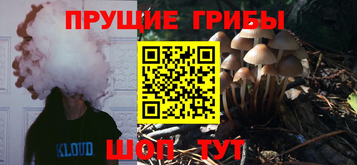 Камень-на-Оби  Псилоцибиновые грибы Magic Shrooms  Вход с VPN 